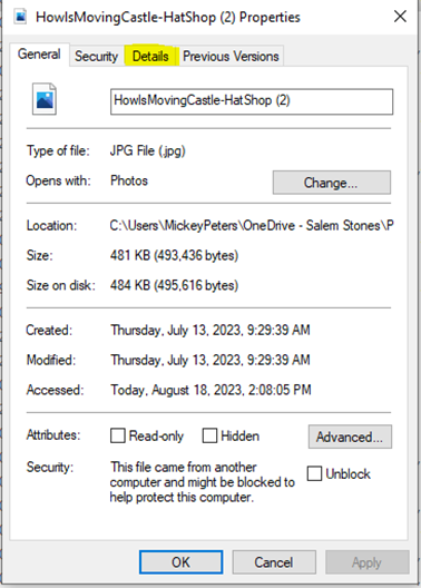 Windows-File Details1