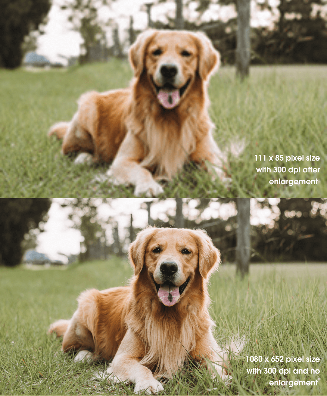 Size and Resolution-b